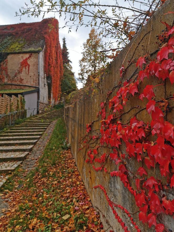 Gaestezimmer Reitinger Siegenburg Exteriér fotografie